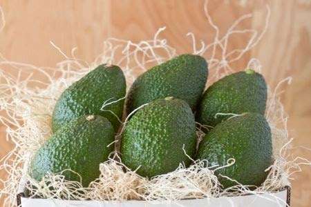 California Avocados Direct | 9370 Circle R Dr, Escondido, CA 92026, USA | Phone: (844) 286-7447