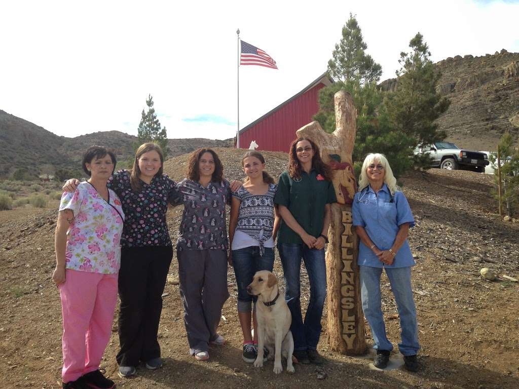 Billingsley Veterinary Clinic | 21834 Ferncuko St, Tehachapi, CA 93561, USA | Phone: (661) 823-8381