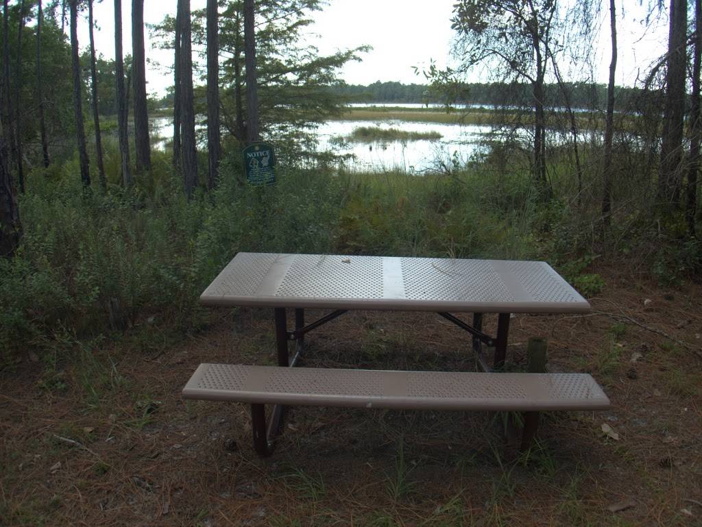 Isle of Pine Preserve Green Trail Trailhead | 14320 Fresno Dr, Orlando, FL 32832, USA | Phone: (407) 836-1400