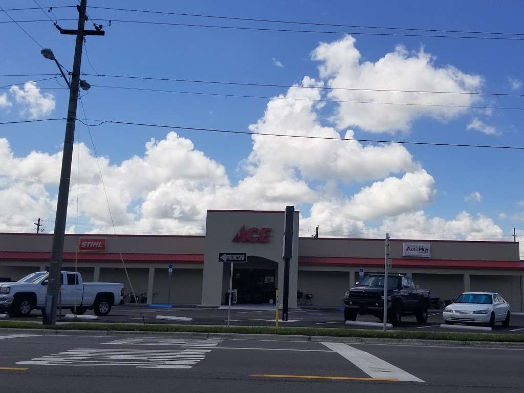 Mulberry Ace Hardware | 905 E Canal St, Mulberry, FL 33860, USA | Phone: (863) 774-6600