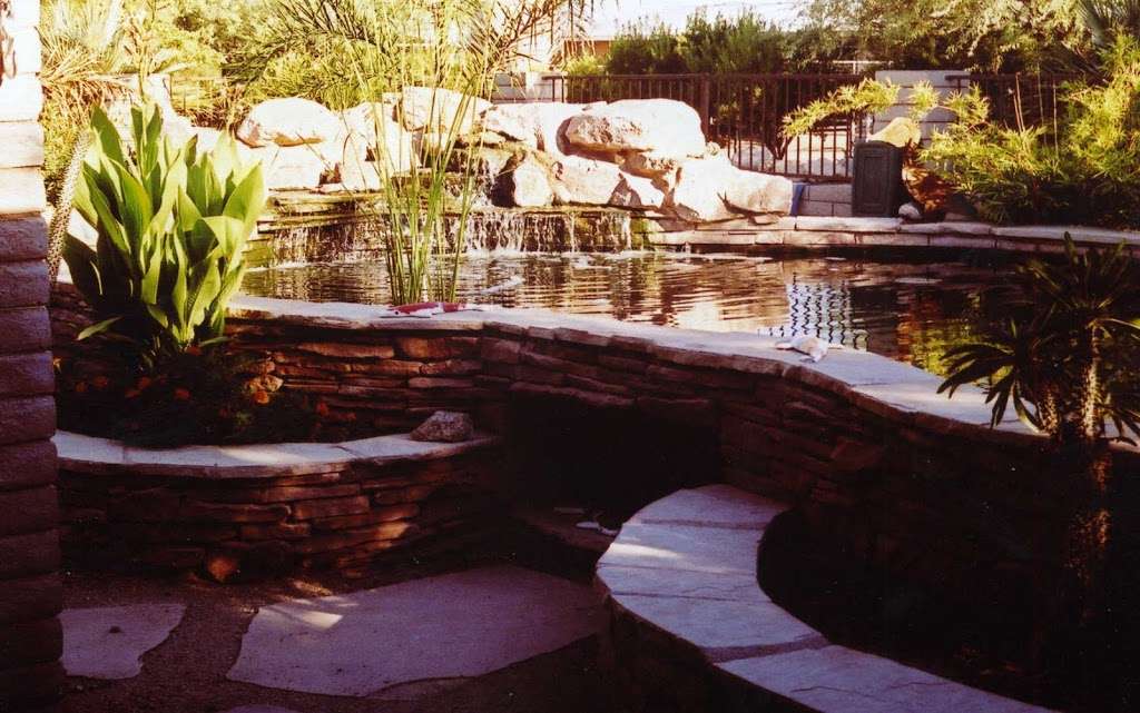 Backyard Pond LLC | 9433 N 71st Ave, Peoria, AZ 85345, USA | Phone: (623) 878-6695