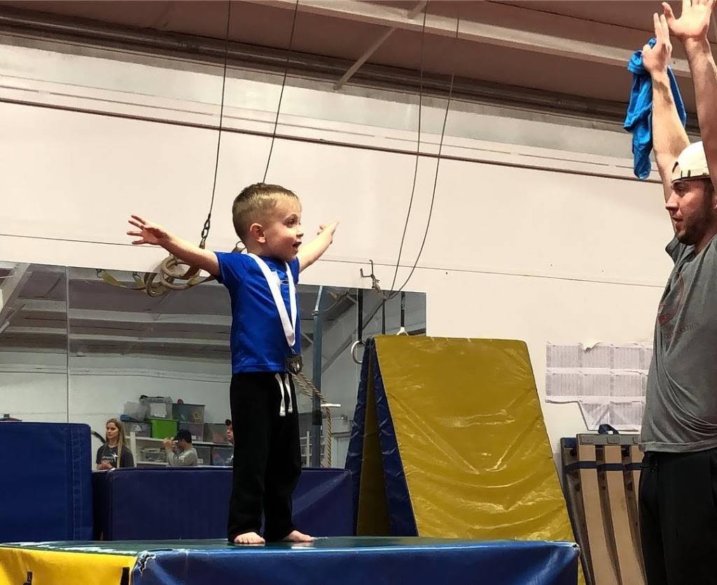 Harpeth School of Gymnastics | 2204 Hillsboro Rd, Franklin, TN 37069, USA | Phone: (615) 790-7825