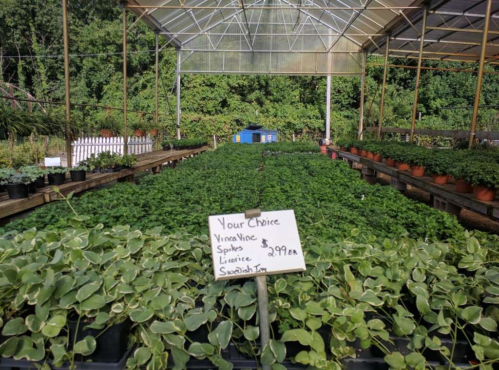 Scituate Nurseries | 767 Hartford Pike, North Scituate, RI 02857, USA | Phone: (401) 934-0581