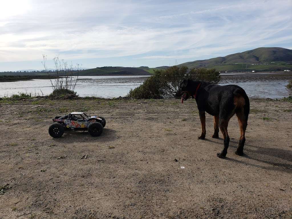 Tubbs Island Trailhead | Sonoma, CA 95476, USA | Phone: (510) 622-2413