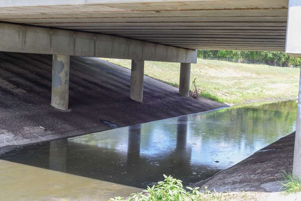 Fite bridge bat colony | 6354 Nelson Rd, Pearland, TX 77584, USA | Phone: (281) 652-1600