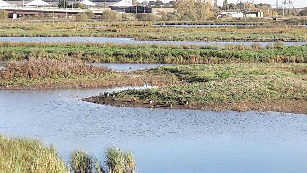 Rainham Marshes nature reserve | Purfleet Environmental and Educational Centre, New Tank Hill Rd, Purfleet, South Ockendon RM19 1SZ, UK | Phone: 01708 899840