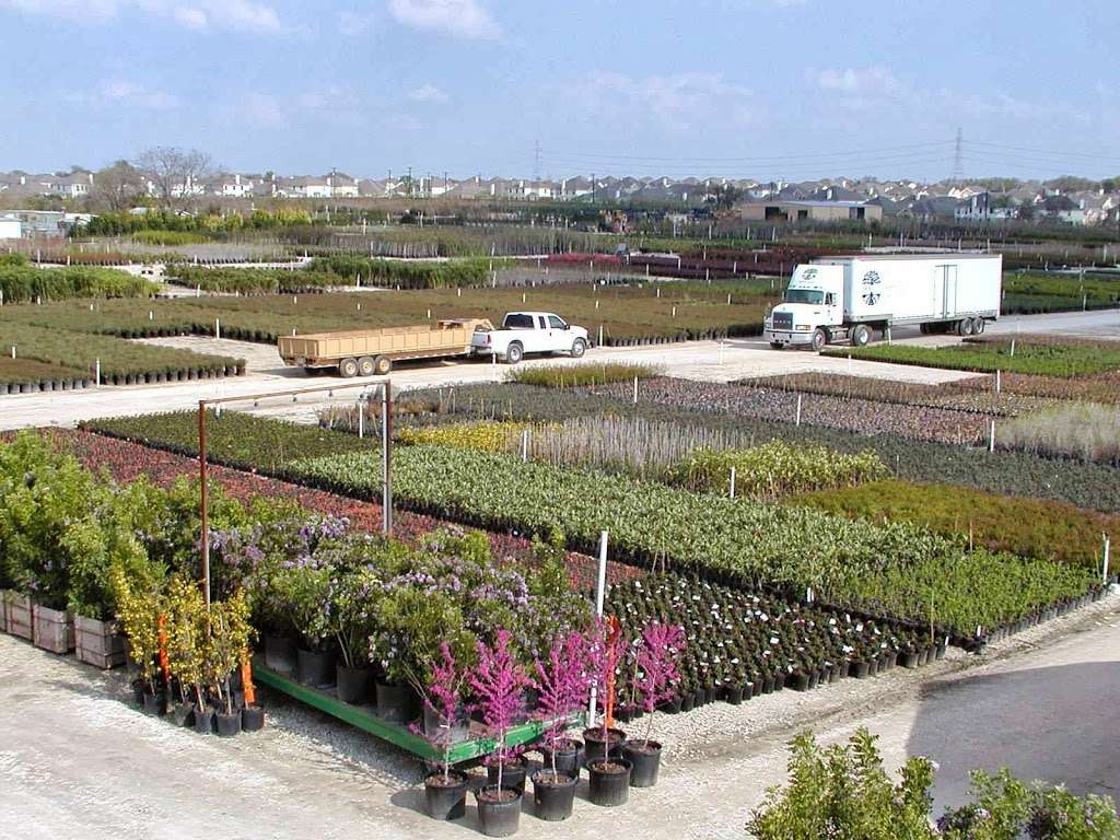 Mortellaros Nursery | 16946 I-35, Schertz, TX 78154, USA | Phone: (210) 655-2192