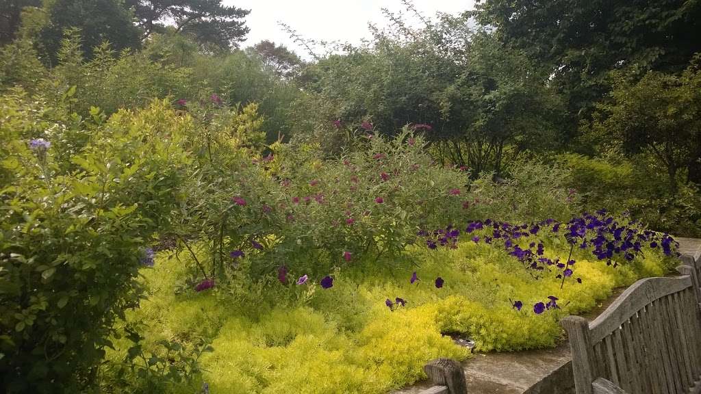 Sensory Garden | Northbrook, IL 60062, USA