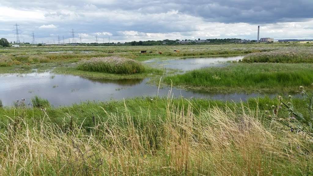 Rainham Marshes nature reserve | Purfleet Environmental and Educational Centre, New Tank Hill Rd, Purfleet, South Ockendon RM19 1SZ, UK | Phone: 01708 899840