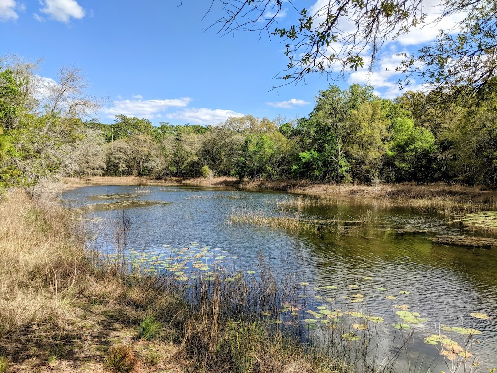 Violet Cury Preserve | 1802 Sinclair Hills Rd, Lutz, FL 33549, USA | Phone: (813) 672-7876