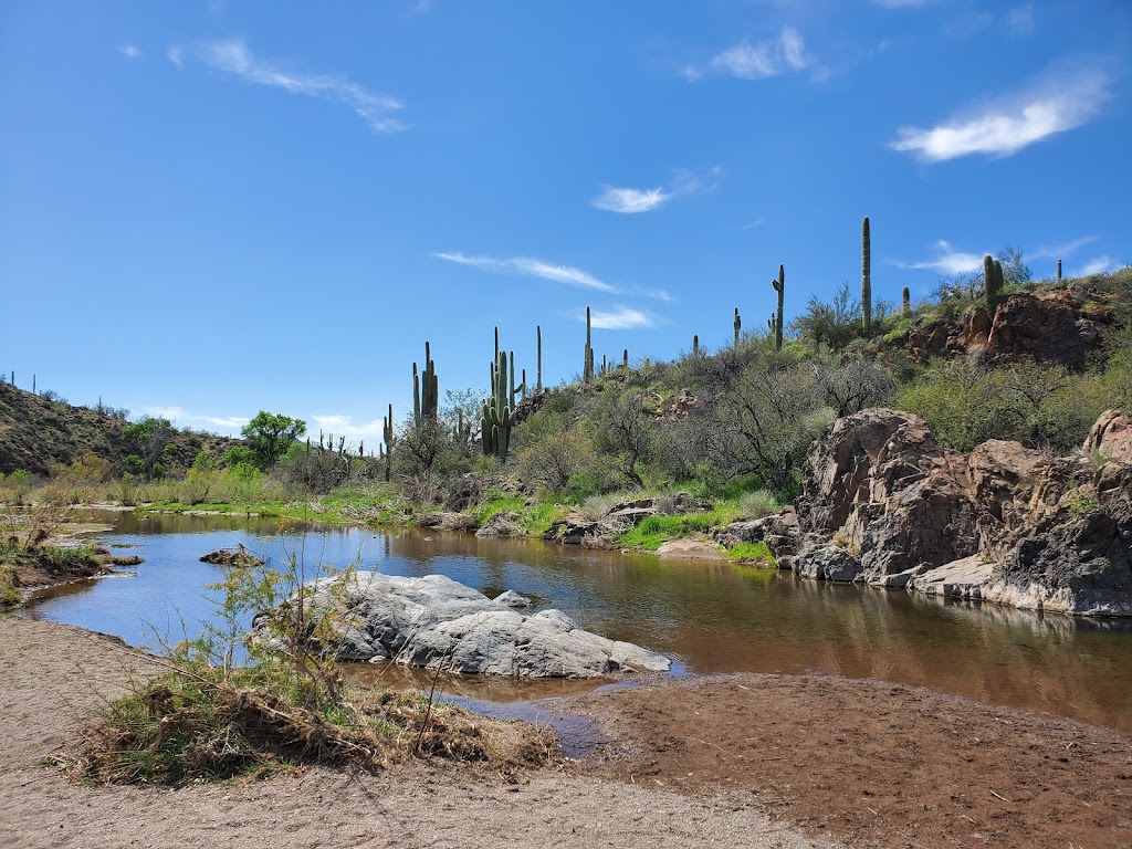 Jewel of the Creek Preserve | Cave Creek, AZ 85331, USA | Phone: (480) 488-6131