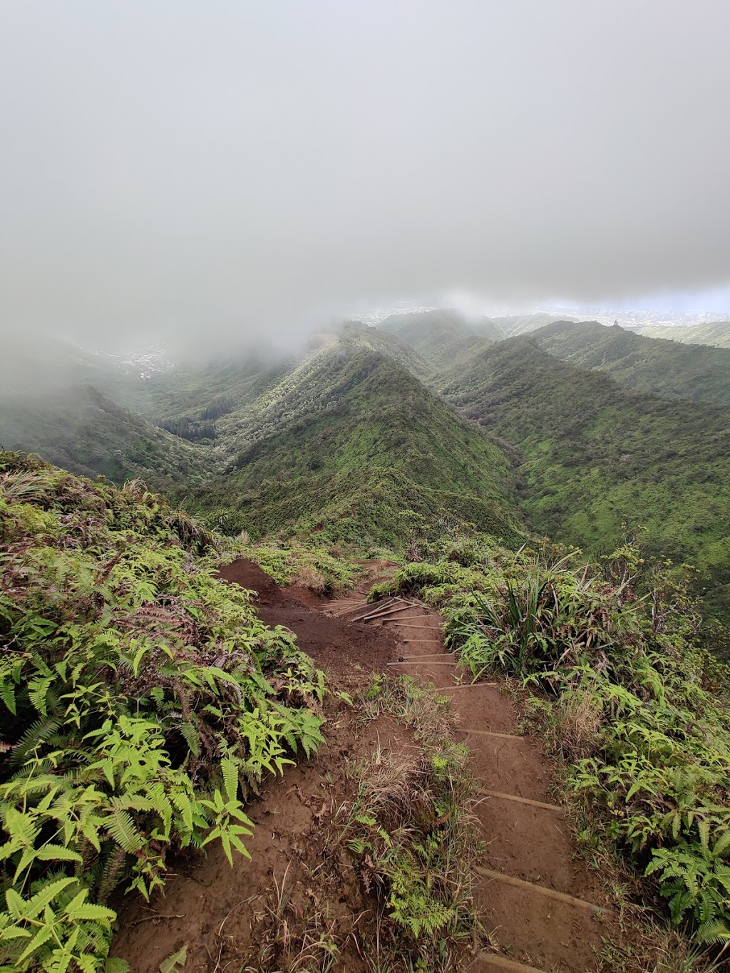 Wailupe Valley Neighborhood Park | 969 Hind Iuka Dr, Honolulu, HI 96821, USA | Phone: (808) 768-3001