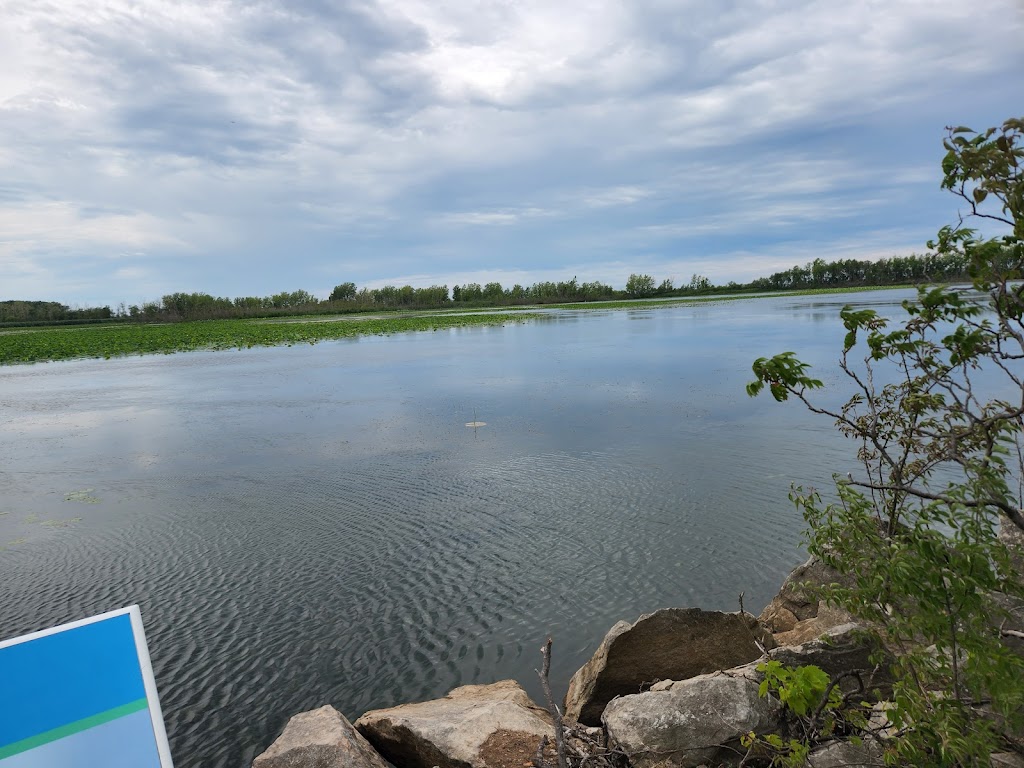 Lighthouse Point Provincial Nature Reserve | Pelee Island, ON N0R 1M0, Canada | Phone: (519) 825-4659