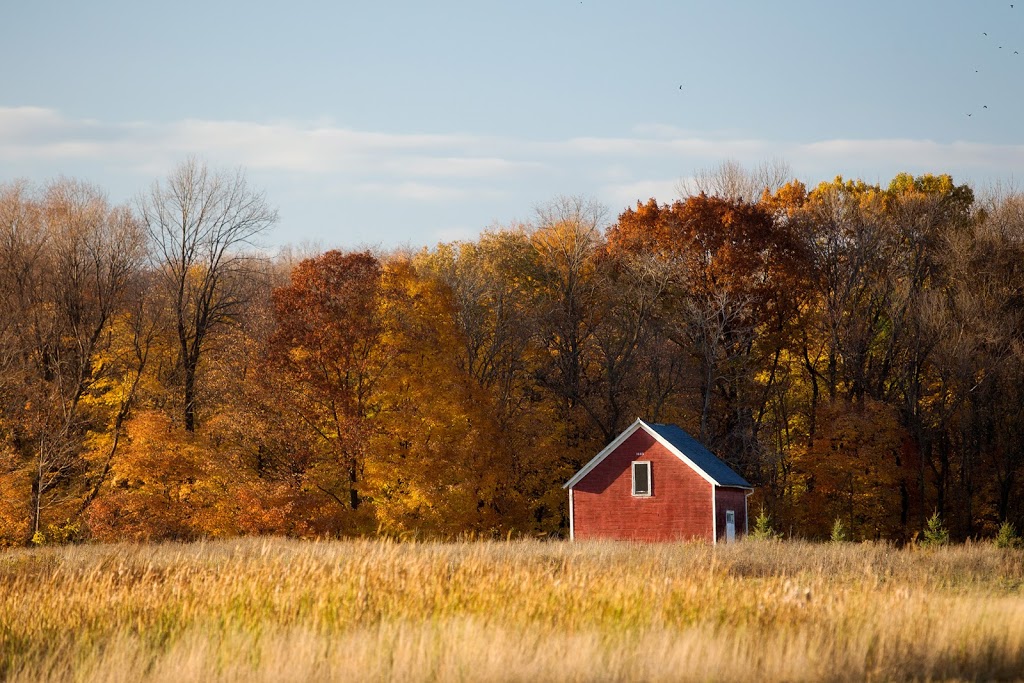 Henrys Woods Park | 12899 Brockton Ln N, Rogers, MN 55374, USA | Phone: (763) 428-0974