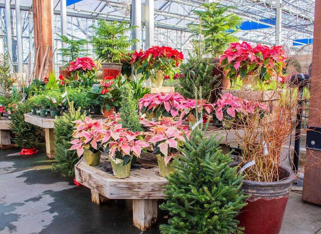 Lanoha Nurseries | 19111 W Center Rd, Omaha, NE 68130, USA | Phone: (402) 289-1788