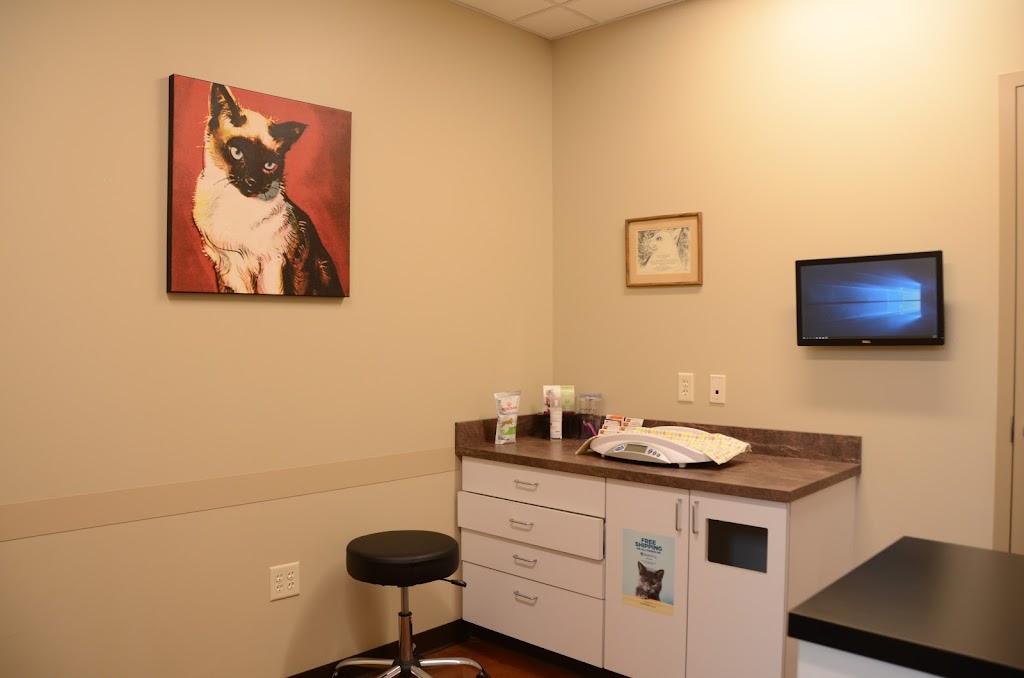 Skyline Veterinary Clinic | 1315 N 205th St #1, Elkhorn, NE 68022, USA | Phone: (402) 933-6800