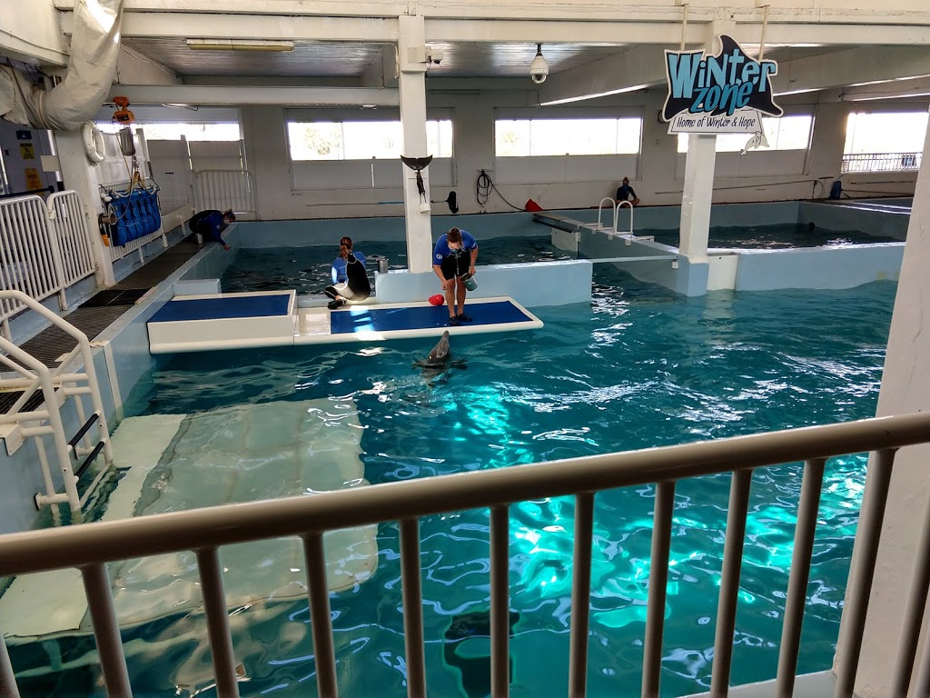 Parking Garage at Clearwater Marine Aquarium | 249 Windward Passage, Clearwater, FL 33767, USA | Phone: (727) 441-1790