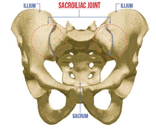 South Phoenix - Bluestone Chiropractic | 303 E Baseline Rd, Phoenix, AZ 85042, USA | Phone: (480) 966-1818