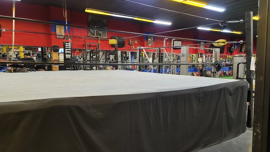 Coliseum Gym 2.0 | 9825 Jamaica Ave, Queens, NY 11421, USA | Phone: (718) 441-0258