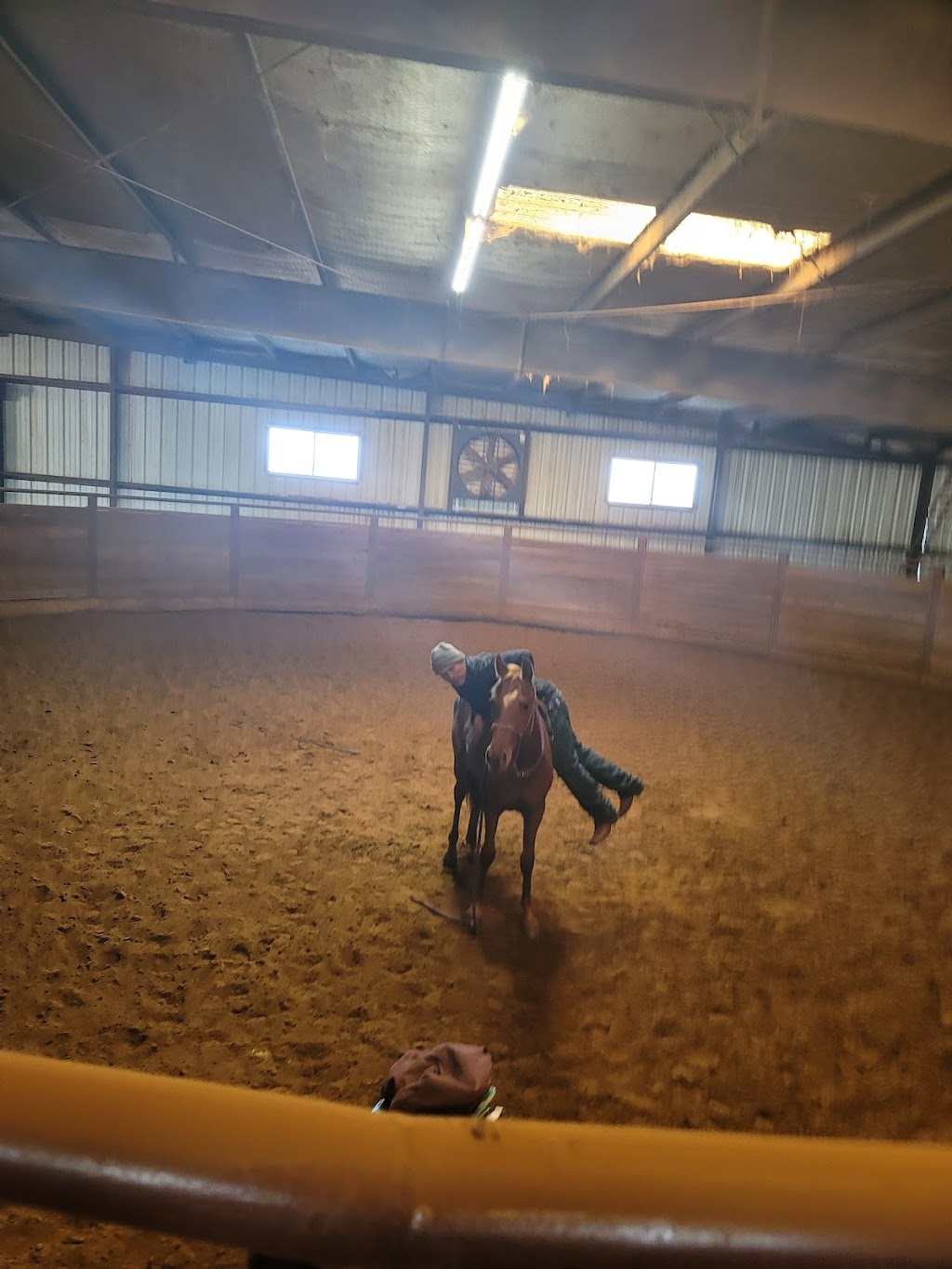 Golden Touch Stables | 7058 FM2450, Sanger, TX 76266, USA | Phone: (940) 368-9037