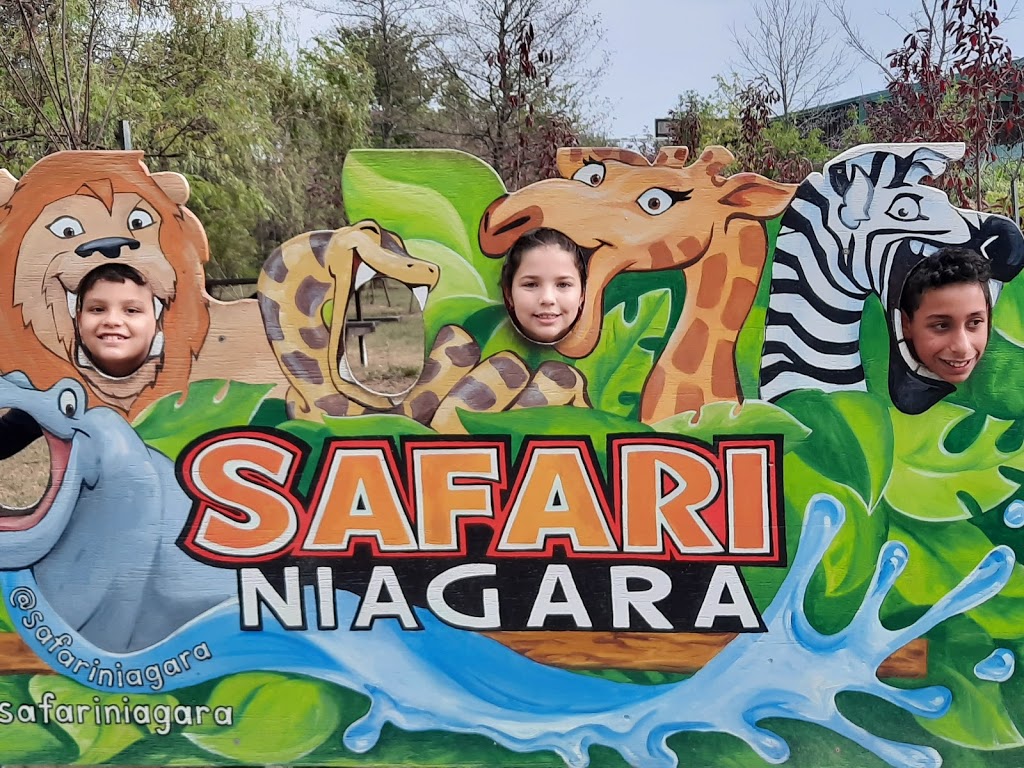 Safari Niagara | 2821 Stevensville Rd, Stevensville, ON L0S 1S0, Canada | Phone: (905) 382-9669