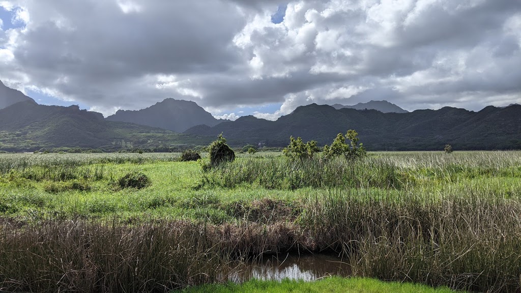 Kawainui Neighborhood Park | 704 Kaha St, Kailua, HI 96734, USA | Phone: (808) 545-2055