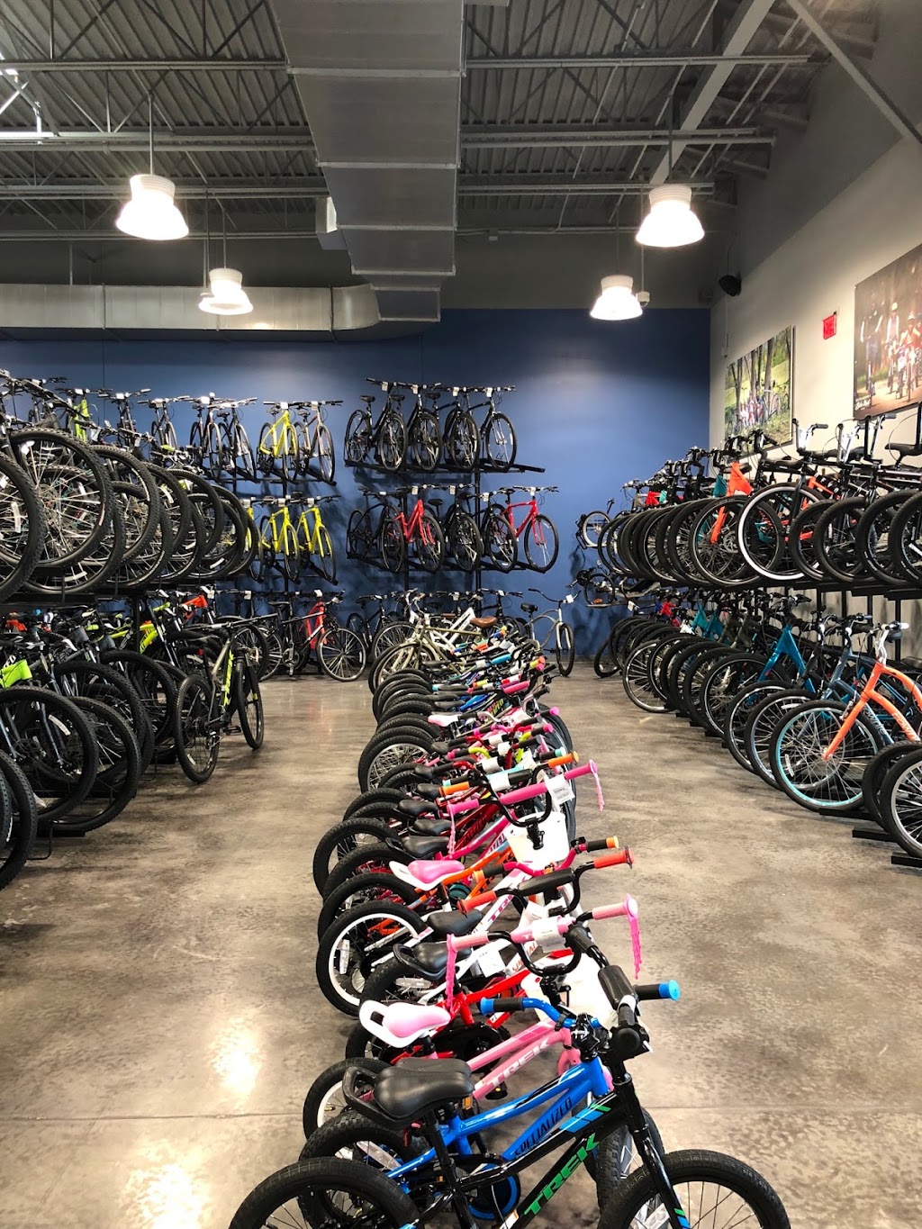 Bike Mart | 9040 Falcon View Dr, McKinney, TX 75072, USA | Phone: (469) 625-1700