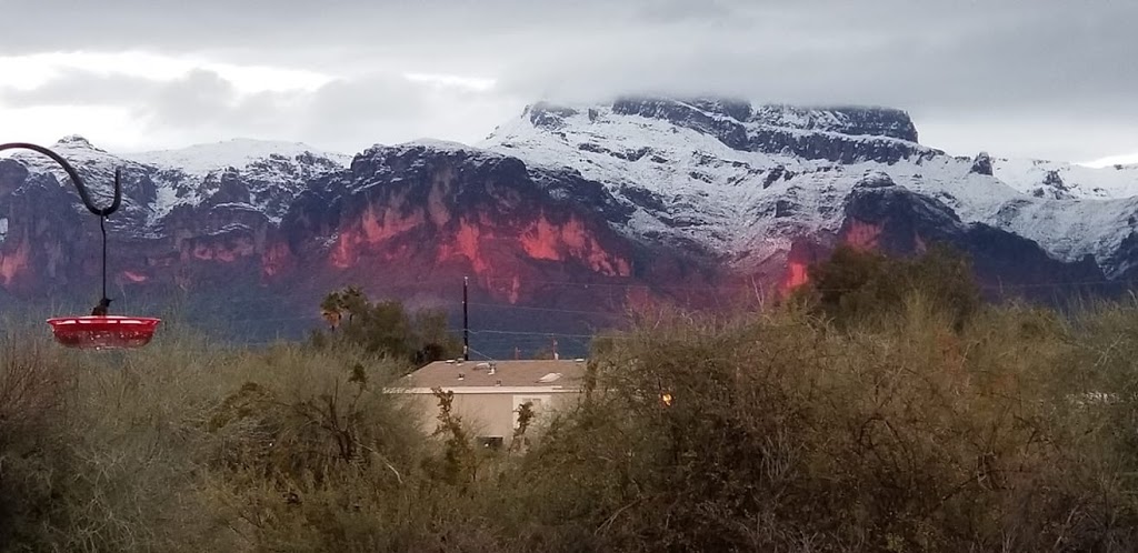 Winter Visitors | Mesa, AZ 85207, USA | Phone: (602) 510-3156