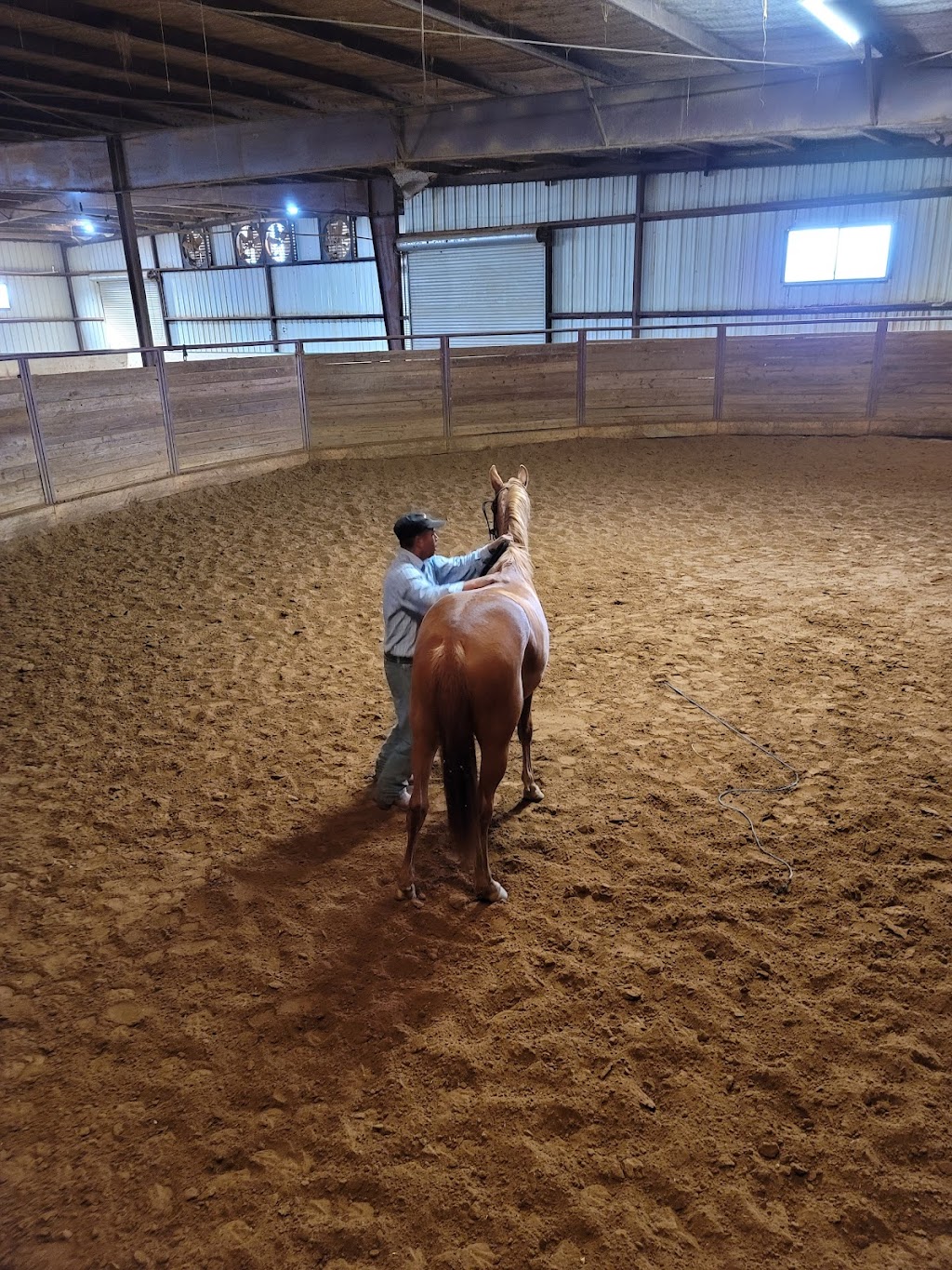 Golden Touch Stables | 7058 FM2450, Sanger, TX 76266, USA | Phone: (940) 368-9037