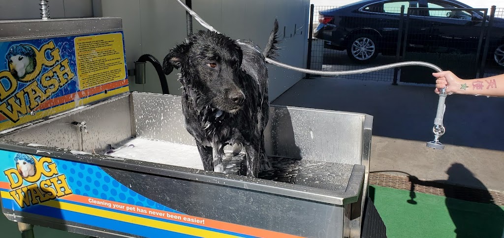 Weiss Guys Express Wash and Self Serve Car and Dog Wash | 7420 W Peoria Ave, Peoria, AZ 85345, USA | Phone: (623) 979-1177