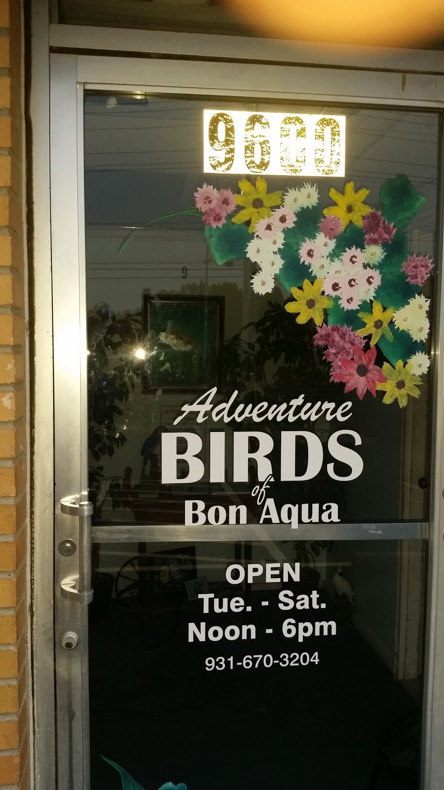 Bon Aqua Pools and Spas | 9608 TN-46, Bon Aqua, TN 37025, USA | Phone: (931) 670-5700