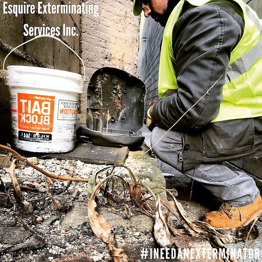 Esquire Exterminating Services Inc | 239 Nassau Ave, Brooklyn, NY 11222, USA | Phone: (718) 349-0482