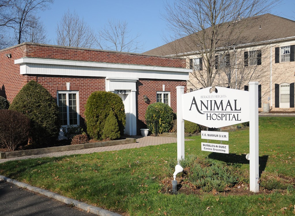 Berkeley Heights Animal Hospital | 269 Springfield Ave, Berkeley Heights, NJ 07922, USA | Phone: (908) 464-0023