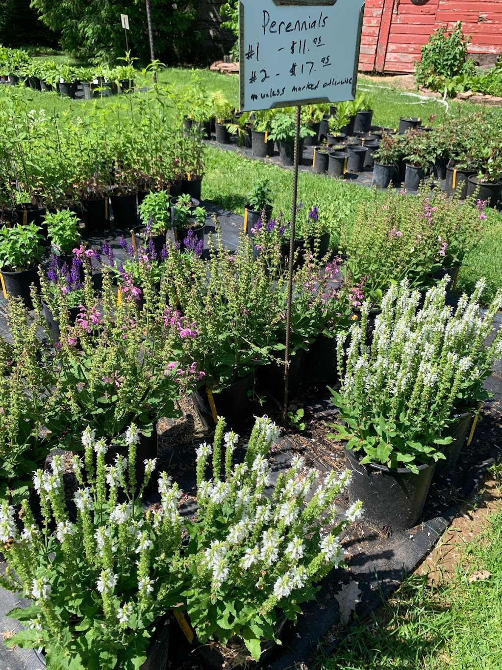 Branch Landscape Nursery | 7009 372nd St, North Branch, MN 55056, USA | Phone: (651) 674-7698