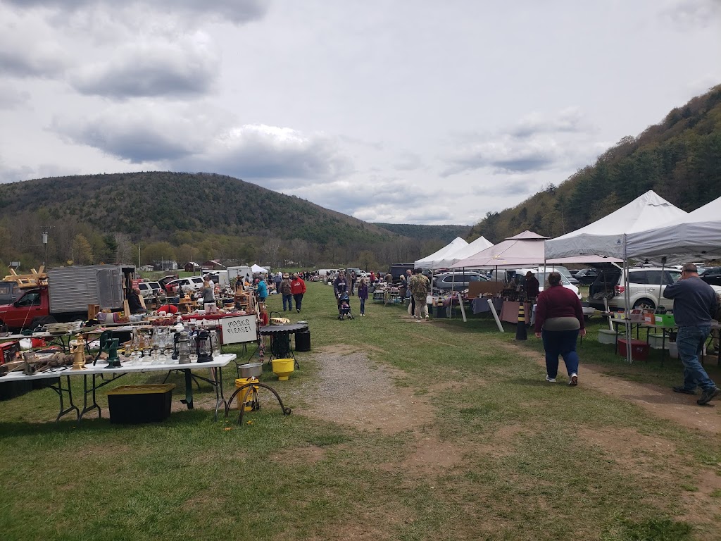 Creekside Flea Market (Seasonal: Open April Thru October) | 543 NY-145, Middleburgh, NY 12122, USA | Phone: (518) 545-7657