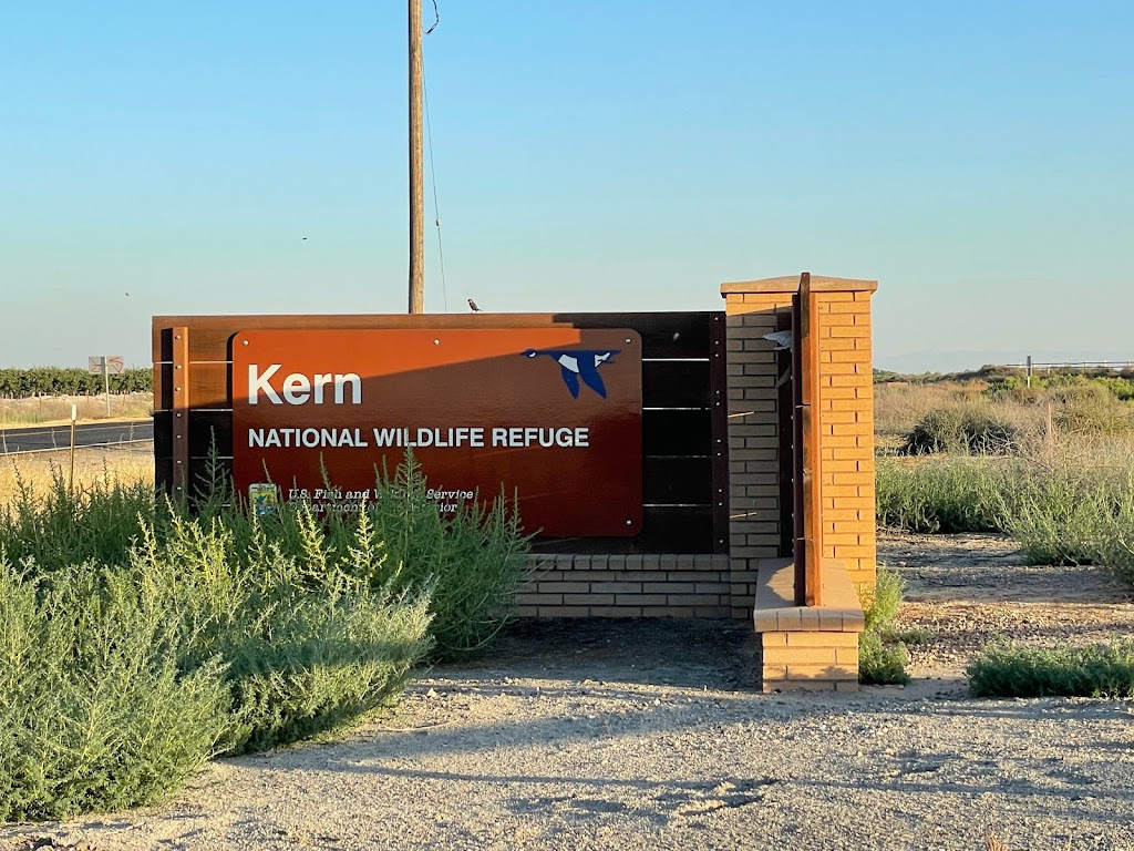 Kern National Wildlife Refuge | 10811 Corcoran Rd, Wasco, CA 93280, USA | Phone: (661) 725-2767