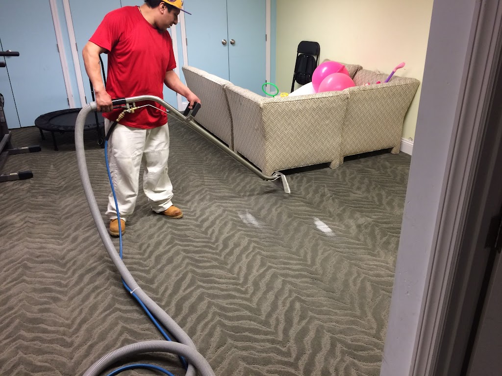 Prime Carpet Cleaning | 703 Ave. M, Brooklyn, NY 11230, USA | Phone: (347) 853-5952