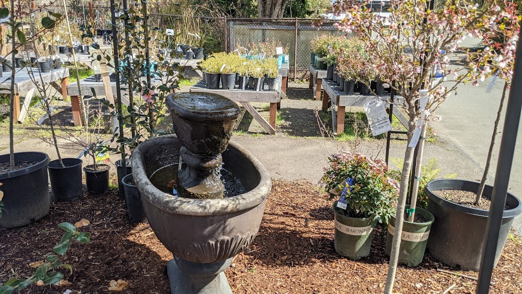 Bainbridge Gardens | 9415 Miller Rd NE, Bainbridge Island, WA 98110, USA | Phone: (206) 842-5888