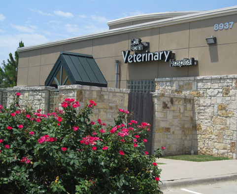 Coit North Veterinary Hospital | 8937 Coit Rd, Plano, TX 75024, USA | Phone: (214) 618-8282