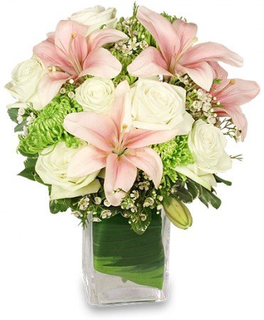 ParkCrest Floral Design | 3313 Hancock Dr, Austin, TX 78731 | Phone: (512) 467-4024