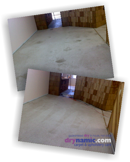 Drynamic Carpet & Upholstery Care | 9663 Norfolk Ave, Laurel, MD 20723, USA | Phone: (301) 725-7747