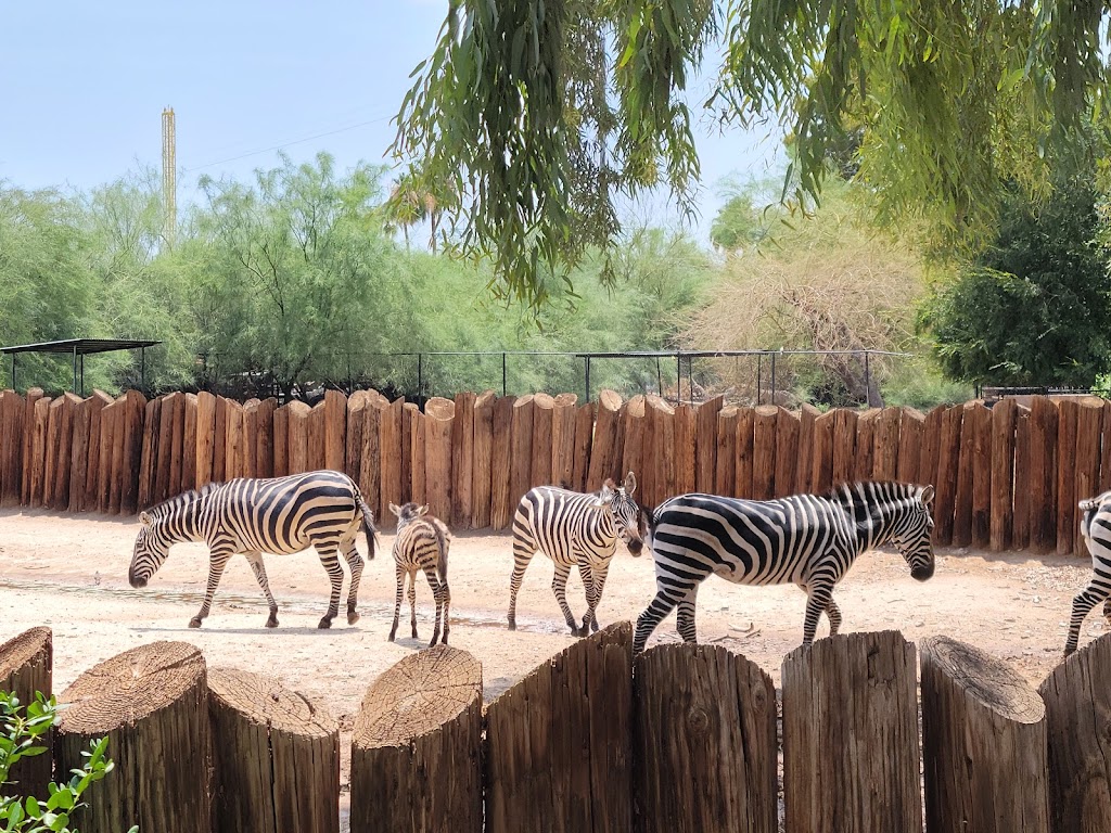 Wildlife World Zoo, Aquarium & Safari Park | 16501 W Northern Ave, Litchfield Park, AZ 85340, USA | Phone: (623) 935-9453