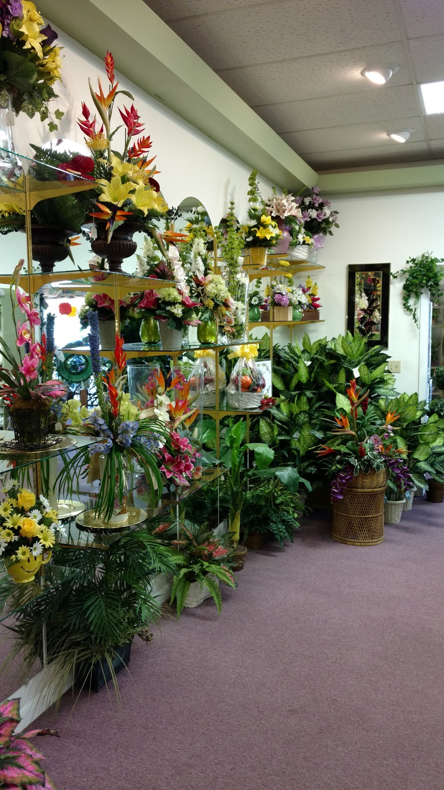 Hayes Florist | 5444 Park Blvd N, Pinellas Park, FL 33781, USA | Phone: (727) 544-8847