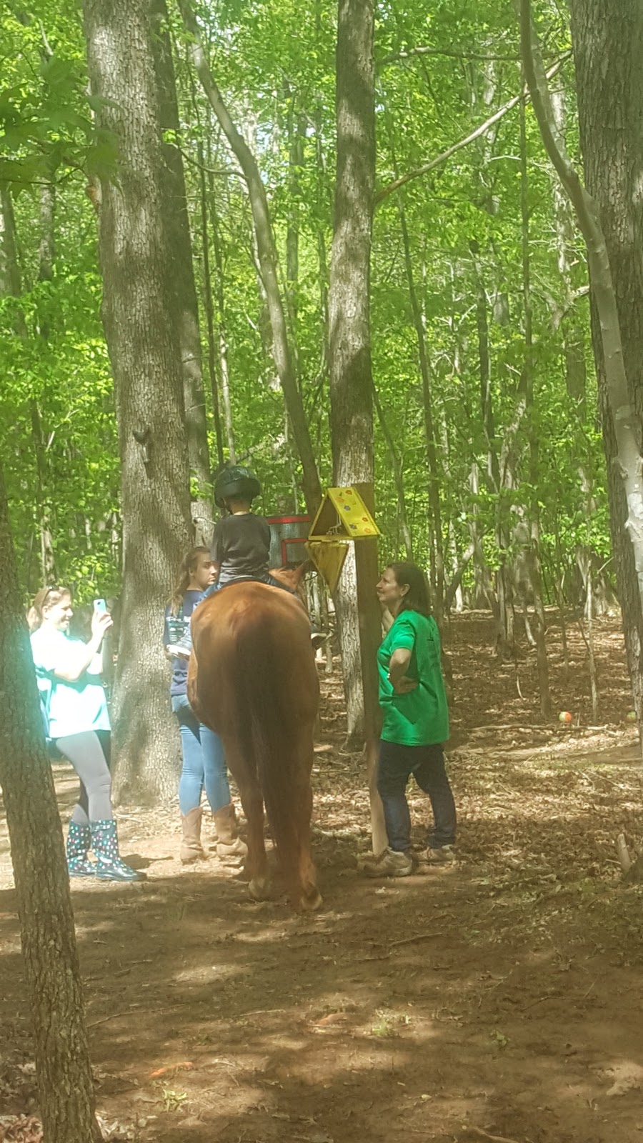 Helping Horse Therapeutic Riding | 5104 Riley Hill Rd, Wendell, NC 27591, USA | Phone: (919) 816-2103