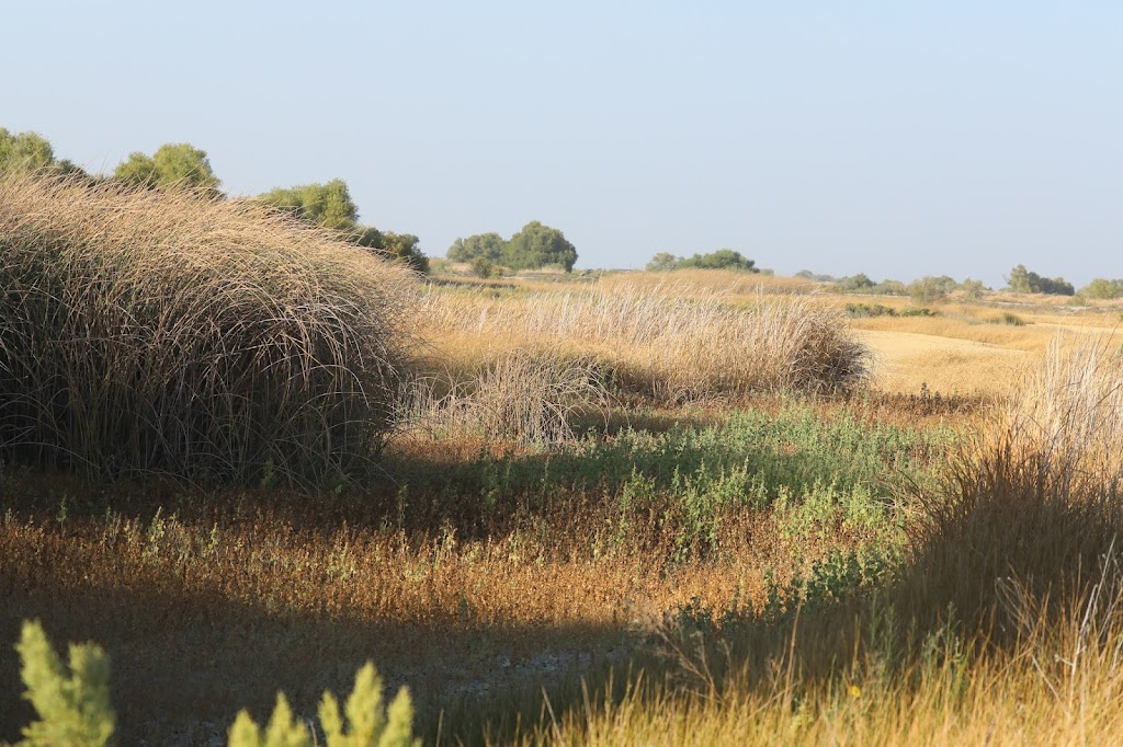 Kern National Wildlife Refuge | 10811 Corcoran Rd, Wasco, CA 93280, USA | Phone: (661) 725-2767