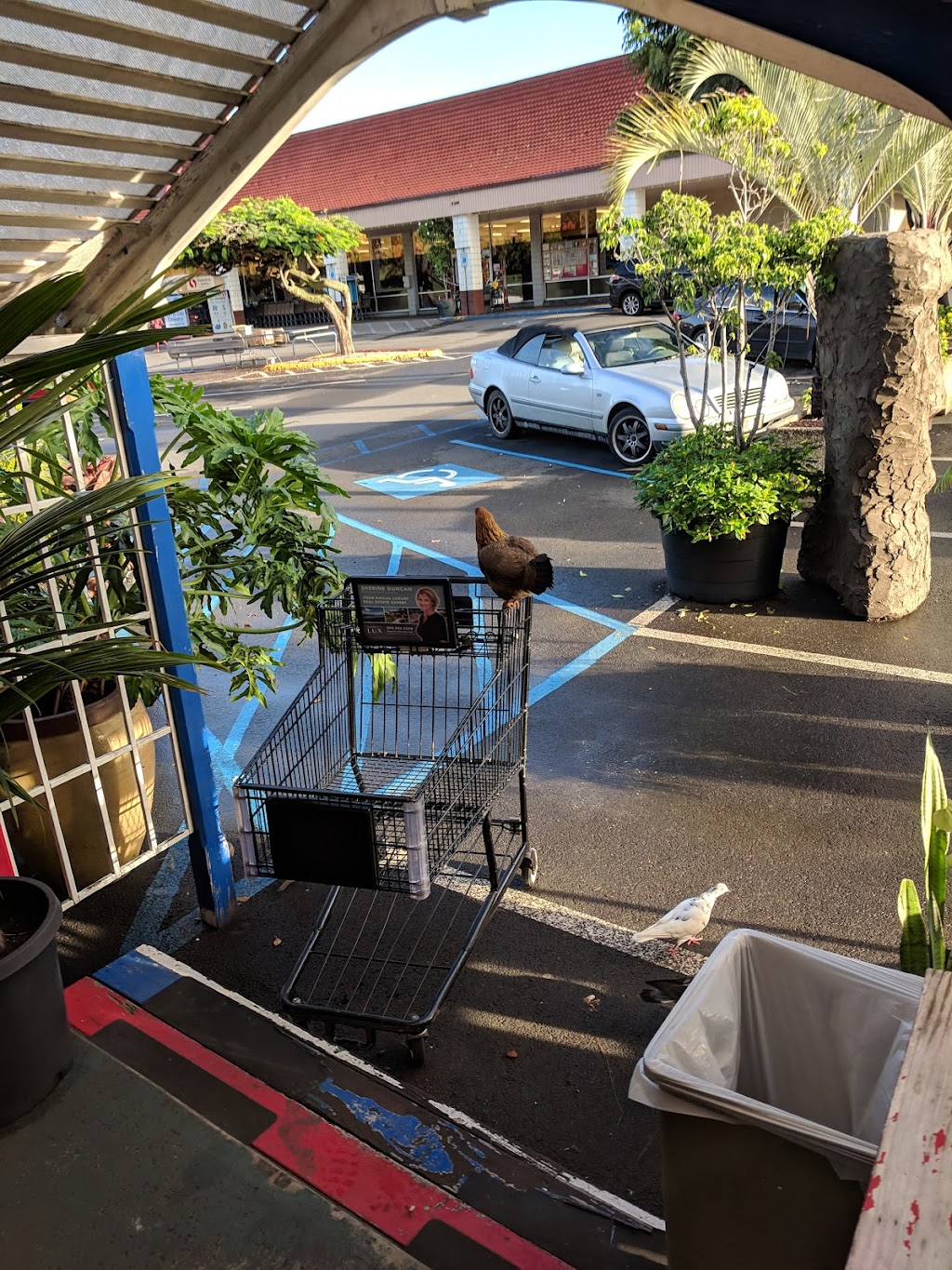 Aikahi Park Shopping Center | 25 Kaneohe Bay Dr, Kailua, HI 96734, USA | Phone: (808) 548-0901