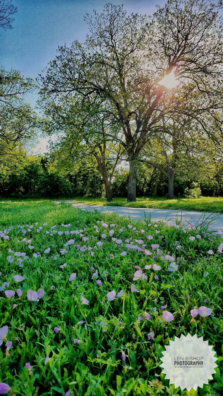 Northeast Metro Park Walk/Bike Trail | unnamed, Pflugerville, TX 78660, USA | Phone: (512) 854-7275