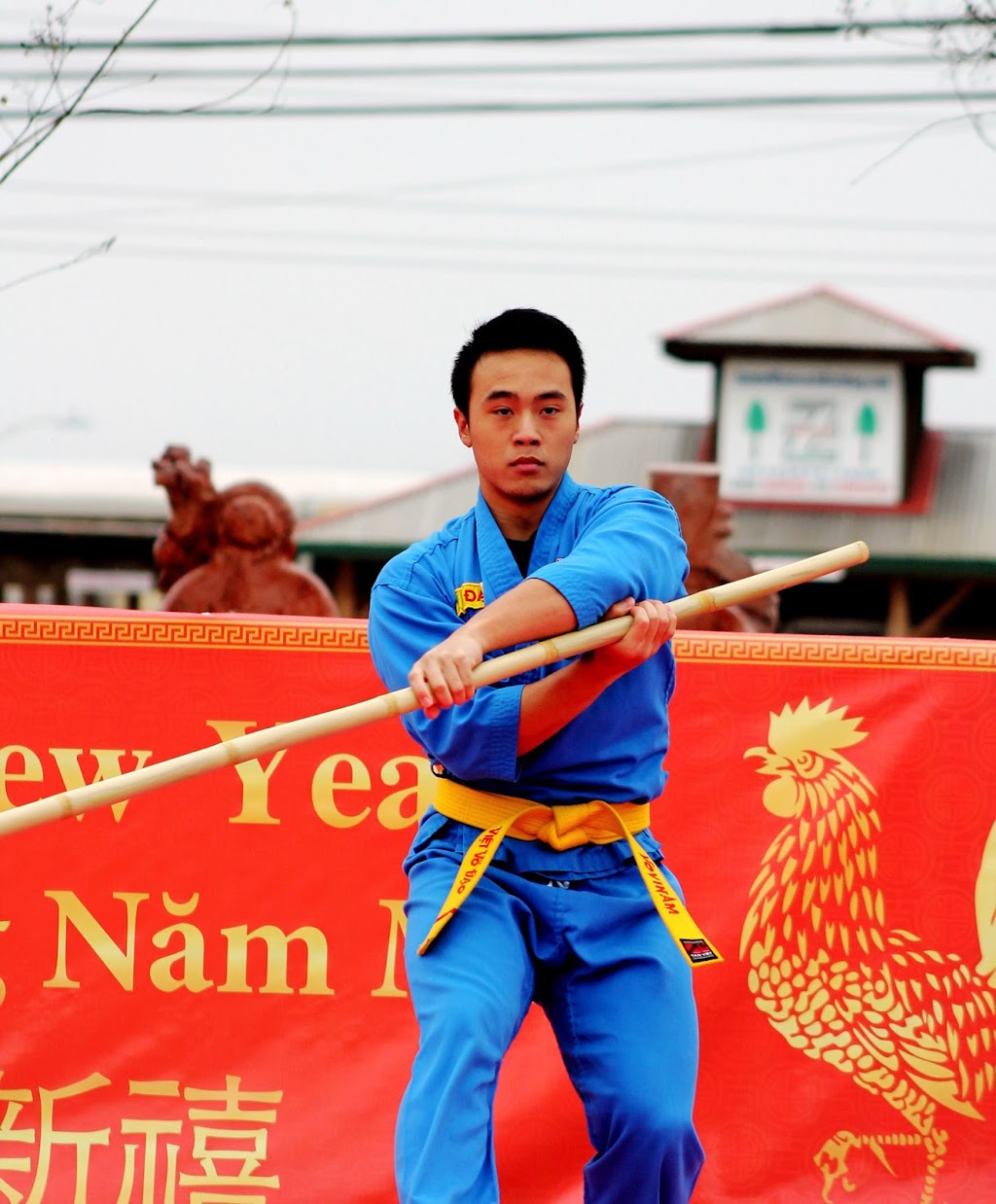 Texas Vovinam Viet Vo Dao federation LLC | 8863 Anderson Mill Rd Suite 120, Austin, TX 78729, USA | Phone: (512) 287-7625