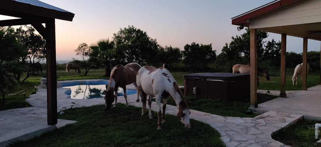 SpiritHorse Horsemanship School | 345 Private Rd 5754, Castroville, TX 78009, USA | Phone: (210) 593-8274