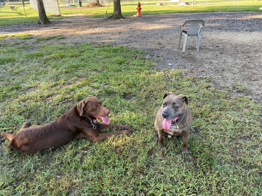 Friends of Raising Canes Camilla City Bark Park | 901 Howze Beach Rd, Slidell, LA 70458, USA | Phone: (985) 646-4371